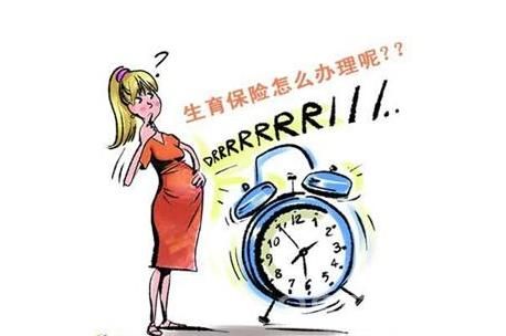 生育保險報銷比例是多少？ 第1張