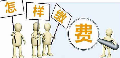 什么公司可以代繳養(yǎng)老保險？ 第1張